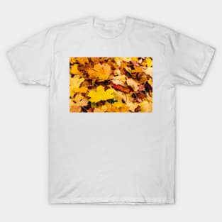 Autumn background of fallen yellow and orange leaves T-Shirt